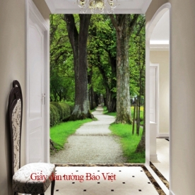 Wallpaper living room Tr141