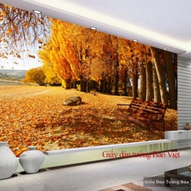 Wallpaper of living room Tr144