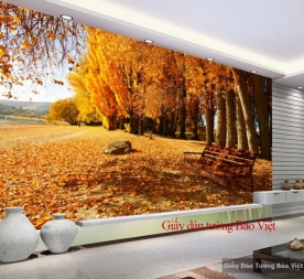 Wallpaper of living room Tr144