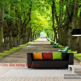 Wallpaper living room Tr146