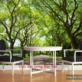 Wallpaper living room Tr148