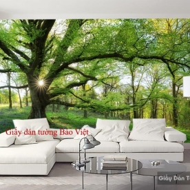 Wallpaper living room Tr149