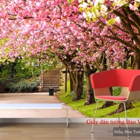 Wallpaper living room Tr158