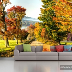 Wallpaper living room Tr159