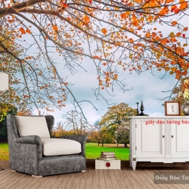 Wallpaper living room Tr210