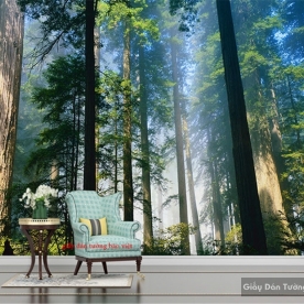 Wallpaper living room Tr212