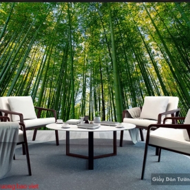 Wallpaper living room Tr250