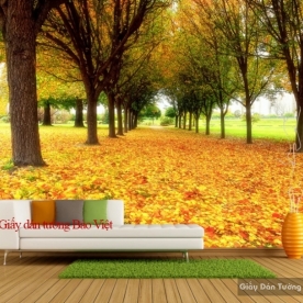 Autumn living room wallpaper Tr145