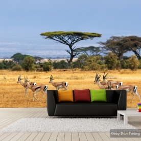 Wallpaper living room scenery Fi027