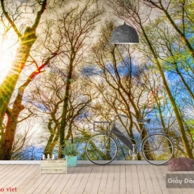 Landscape living room wallpaper d205