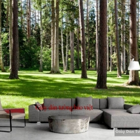 Forest living room wallpaper Tr139