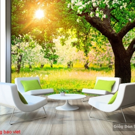 Wallpaper living room tr263