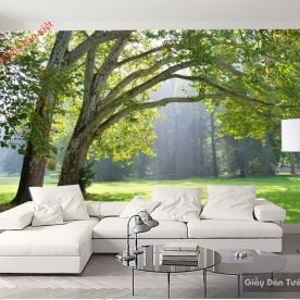 Wallpaper living room Tr079