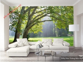 Wallpaper living room Tr079