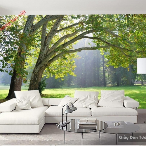 Wallpaper living room Tr079