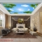 Living room wallpaper for ceiling c194