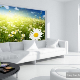 Living room wallpaper k20539280