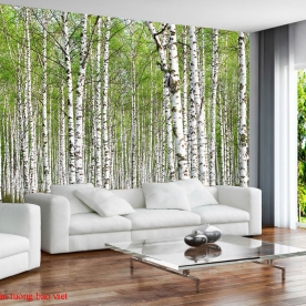 Wallpaper living room tr297