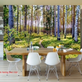 Living room wallpaper tr306