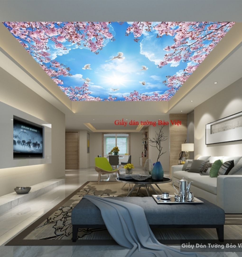 Bedroom ceiling wallpaper C075