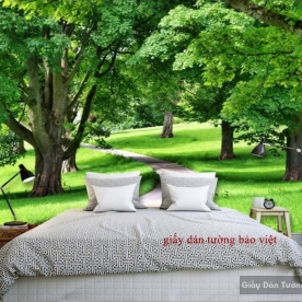 Beautiful bedroom wallpaper Tr120