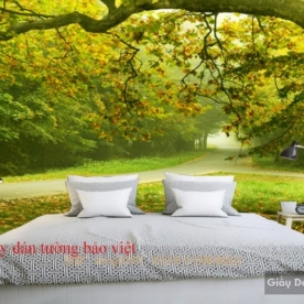 Wallpaper for bedrooms Tr134