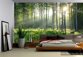 Wallpaper for bedrooms Tr183