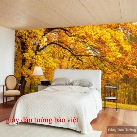 Wallpaper for bedroom yellow Tr133