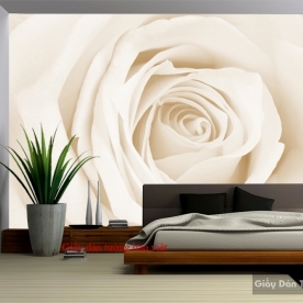 3D flower wallpaper bedroom H137