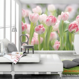 Bedroom wallpaper d169