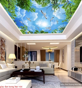 Bedroom wallpaper ceilings C162