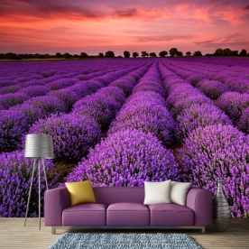 wallpaper for the bedroom s192460559