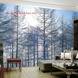 Decal glass stickers Tr059