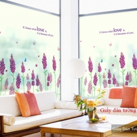 Decal frosted glass K016