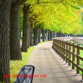 Decal beautiful landscape glass stickers Tr128