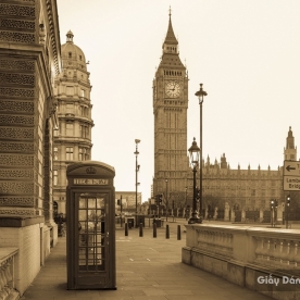 Fm062 3D wall & glass decal