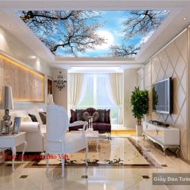 3D painting on the ceiling C086