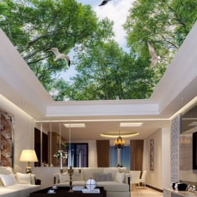 3D ceiling paintings K16729919