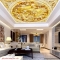 3D ceiling paintings d167