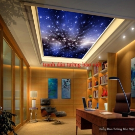 Ceiling paintings C054