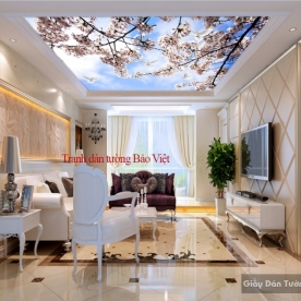 C060 ceiling paintings