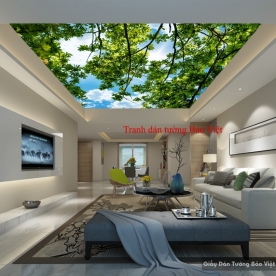 Ceiling paintings C073