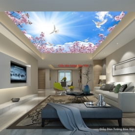 Ceiling paintings C074