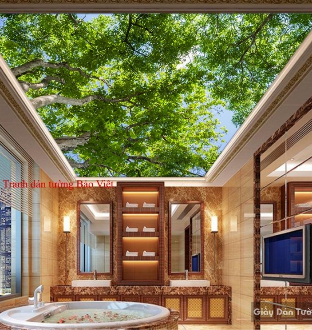 C076 ceiling paintings