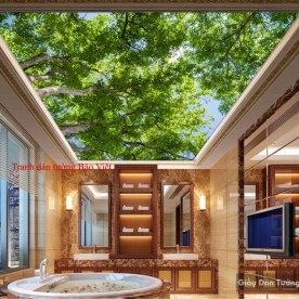 C076 ceiling paintings