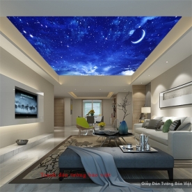 C091 ceiling paintings