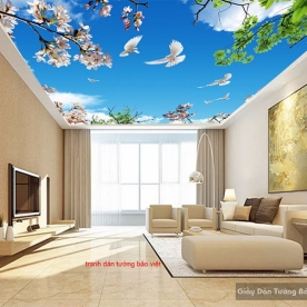 C100 ceiling paintings