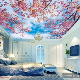 C109 ceiling paintings