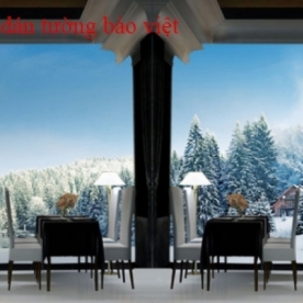 3D wall paintings Fm173