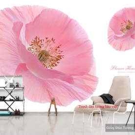 3D wall paintings H126